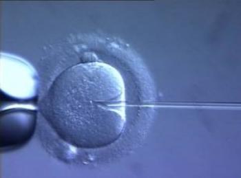 Embriyo Transferinde Son Gelişmeler Metabolomix